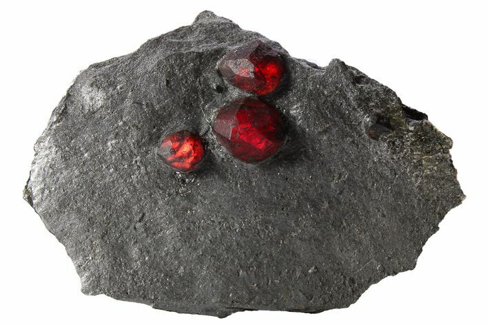 Plate of Three Red Embers Garnets in Graphite - Massachusetts #272724